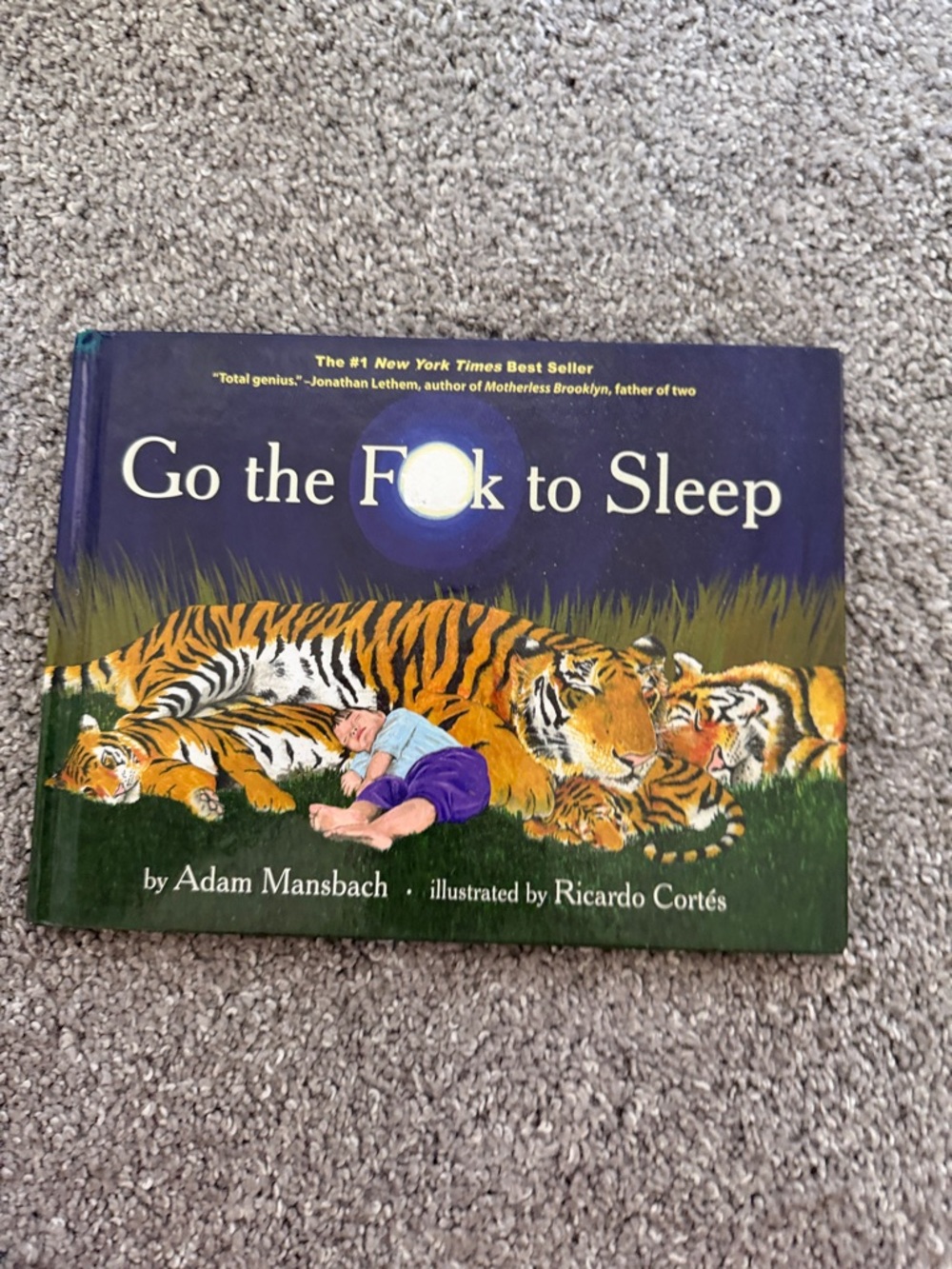 Go the F**k to Sleep Hardcover Book - Purple/Green Cover